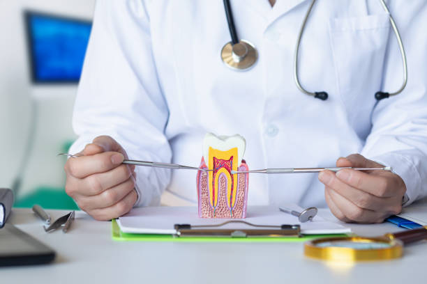 Best Chipped Tooth Repair Near Me  in Vale, OR